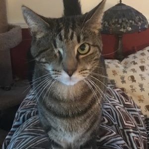 Meet your Posher, Barbara